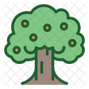 Tree Fruit Tree Ecology Icon