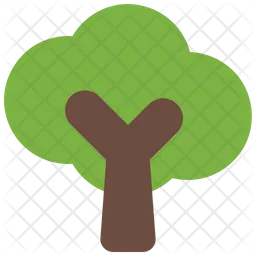 Tree  Icon