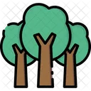 Tree Trees Nature Icon