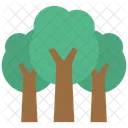 Tree Trees Nature Icon