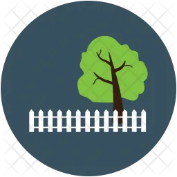 Tree  Icon