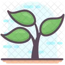 Tree Plant Botany Icon