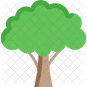 나무 나무 숲 아이콘