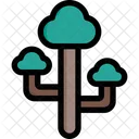 Tree Nature Plant Icon