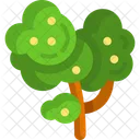 Tree Nature Green Icon
