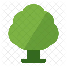 Tree  Icon