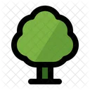 Tree Forest Summer Icon
