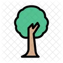 Tree Nature Park Icon