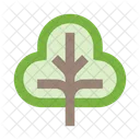 Tree Wood D Icon