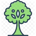 Tree Plant Foliage Icon