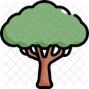 Tree Nature Botanical Icon