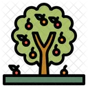 Tree Fruit Nature Icon