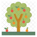 Tree Fruit Nature Icon