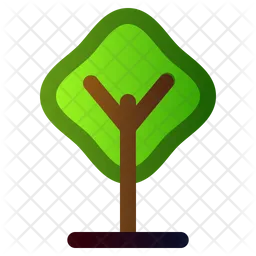 Tree  Icon