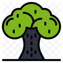 Tree Plant Learning Icon