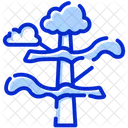 Tree Clouds Rain Icon
