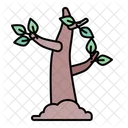 Tree Sprout Growing Icon