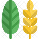 Leaf Paddy Icon