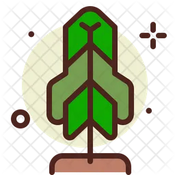 Tree  Icon