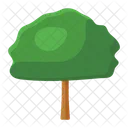 나무 자연의 나무 관목 아이콘