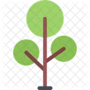 Tree Nature Plant Icon