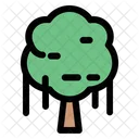 Tree Nature Plant Icon