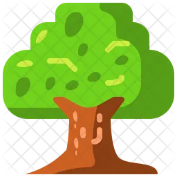 Tree  Icon