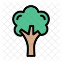 Tree Nature Park Icon