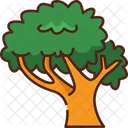 Tree Nature Plant Icon