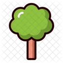 Tree  Icon