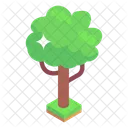 Greenery Tree Shrub Icon