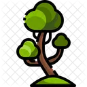 Tree Green Forest Forest Icon
