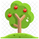 Tree Fruit Tree Plant Icon
