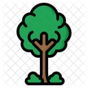 Tree  Icon