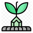 Tree Plant Nature Icon