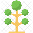 Tree  Icon