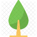 Tree  Icon