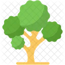 Tree  Icon