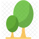 Tree  Icon