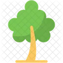 Tree  Icon