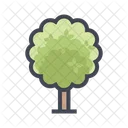 Tree Plant Forest Icon