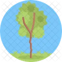 나무 생태 나무 아이콘