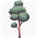Tree Park Wood Icon