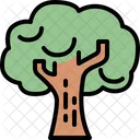 Tree Park Eco Icon