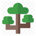 Tree Forest Green Icon