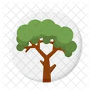 Tree Nature Plant Icon