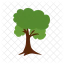 Tree Halloween Plant Icon