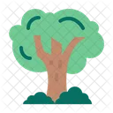 Tree  Icon