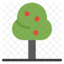 Tree  Icon