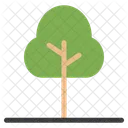 Tree  Icon